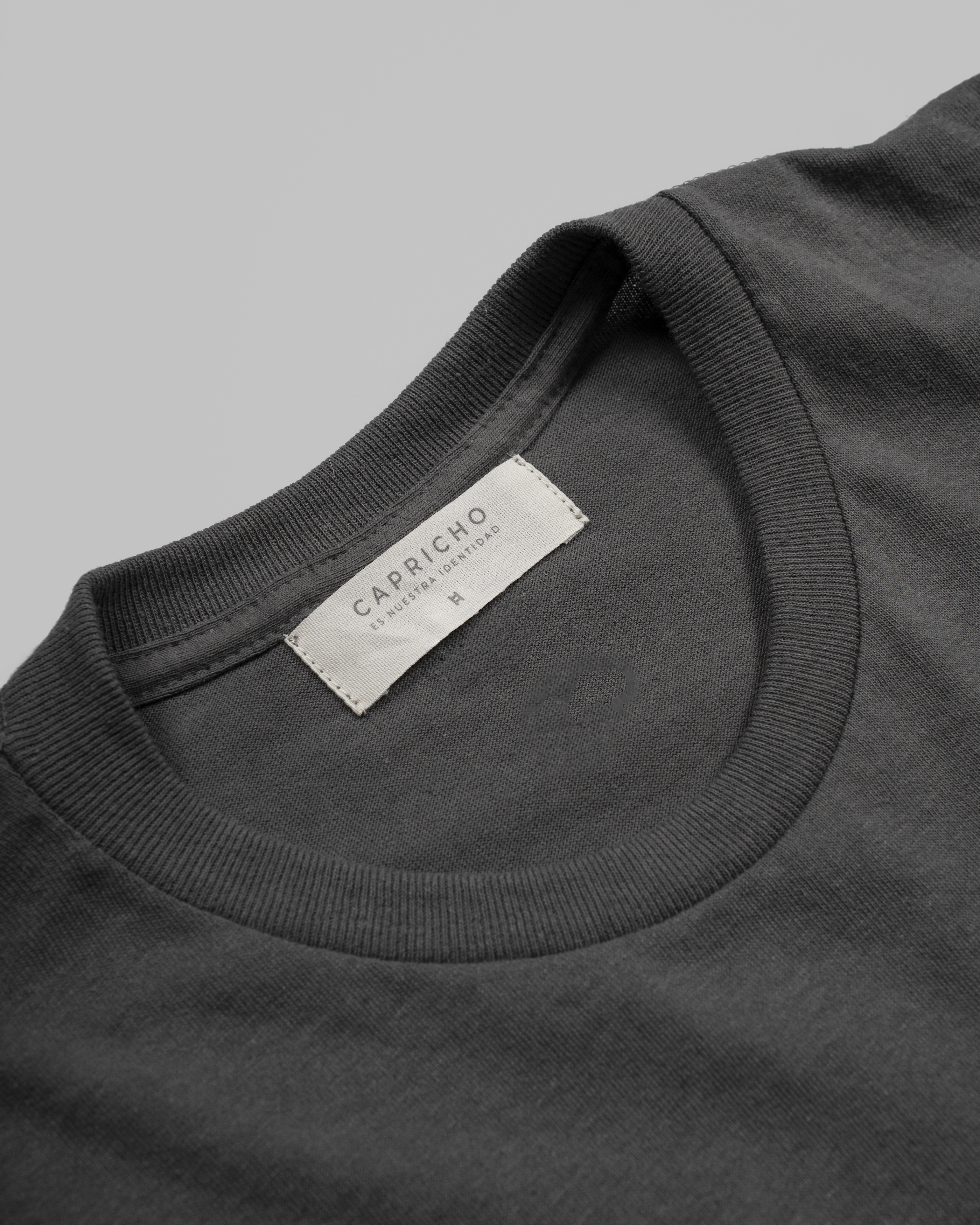 Camiseta H bordada