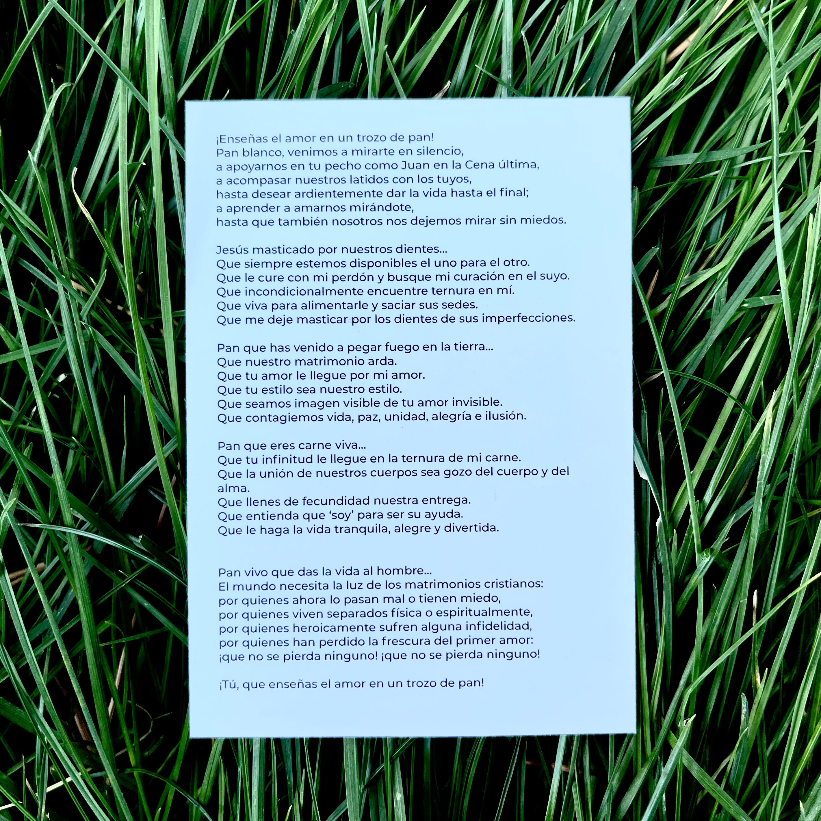 Oración del matrimonio (pack de 10)